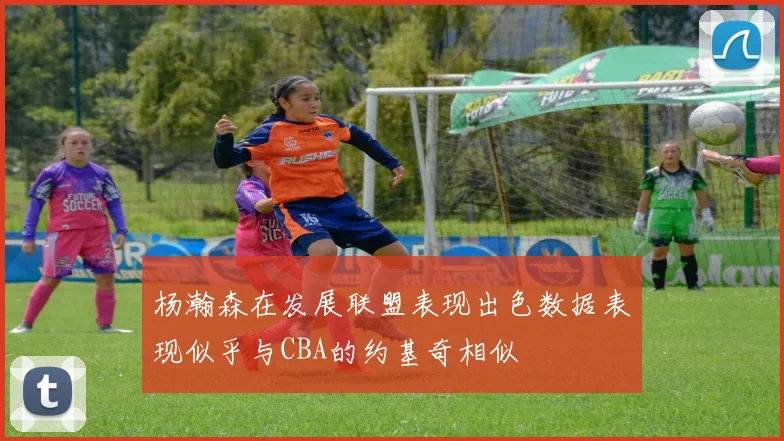 杨瀚森在发展联盟表现出色数据表现似乎与CBA的约基奇相似